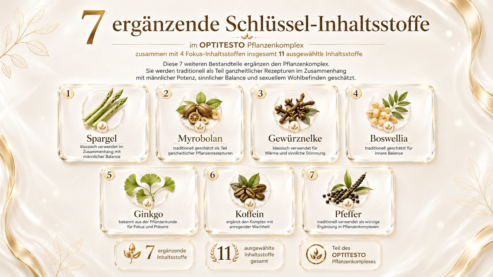7 ergänzende Schlüssel-Inhaltsstoffe im OPTITESTO Pflanzenkomplex: Spargel (klassisch verwendet im Zusammenhang mit männlicher Balance), Myrobolan (traditionell geschätzt als Teil ganzheitlicher Pflanzenrezepturen), Gewürznelke (klassisch verwendet für Wärme und sinnliche Stimmung), Boswellia (traditionell geschätzt für innere Balance), Ginkgo (bekannt aus der Pflanzenkunde für Fokus und Präsenz), Koffein (ergänzt den Komplex mit anregender Wachheit) und Pfeffer (traditionell verwendet als würzige Ergänzung in Pflanzenkomplexen).